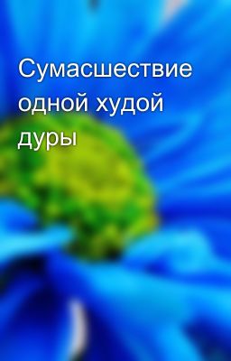 Сумасшествие одной худой дуры 