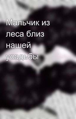 Мальчик из леса близ нашей усадьбы