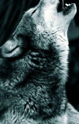 Werewolf.