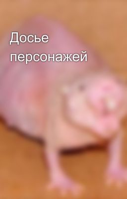 Досье персонажей 