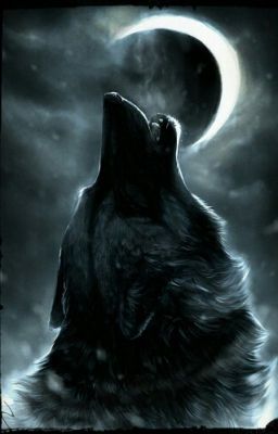 ★Black Wolf★