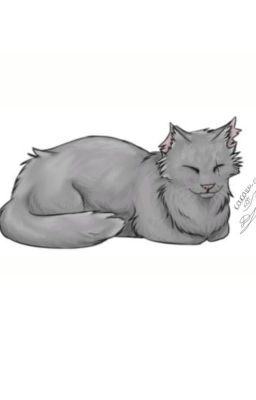 Какаши-кот