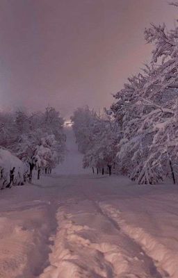 «Winter Evening»