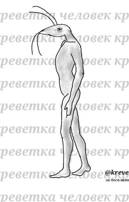 человек креветка