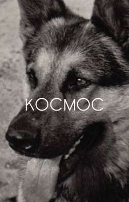 космос