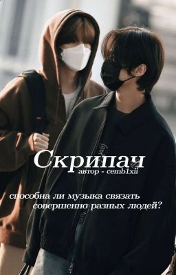 Скрипач