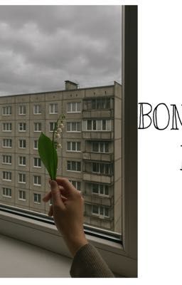 Бонус-жизнь