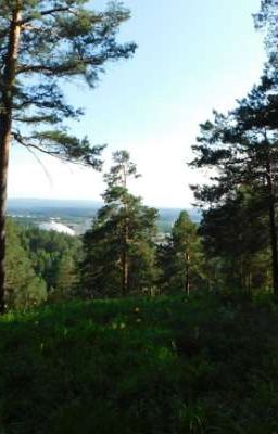 Город