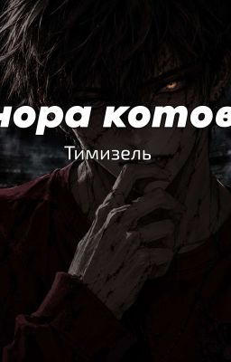 нора котов 