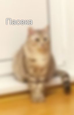Пасека