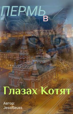 Пермь в Глазах Котят