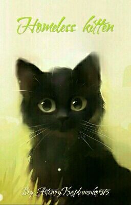 Бездомный котенок