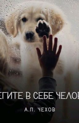 Душевные стихотворения