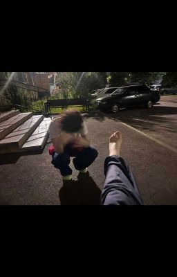 Друзья на век. 
