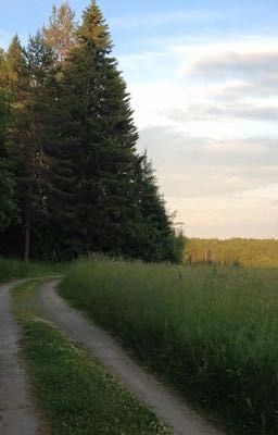 Кукла из листьев дуба.