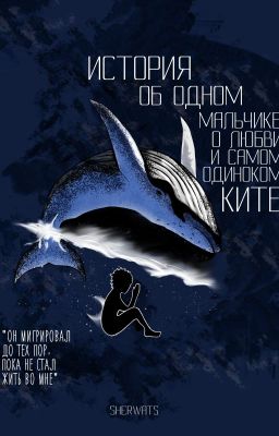 Самый одинокий кит