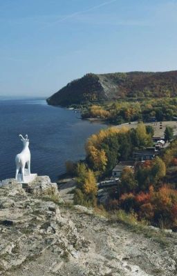 Займ под залог автомобиля в городе Жигулёвске
