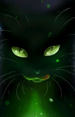 Чёрный кот