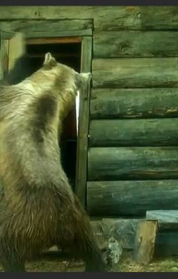 Однажды в походе