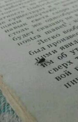 О, это прекрасно...