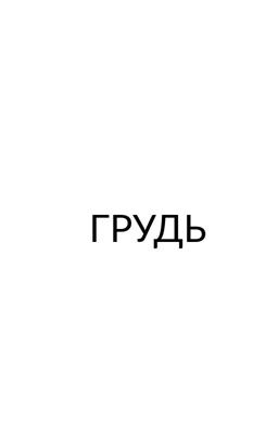 Грудь. 