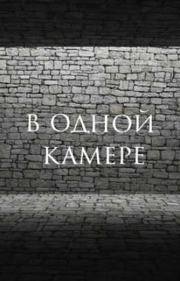 в одной камере 