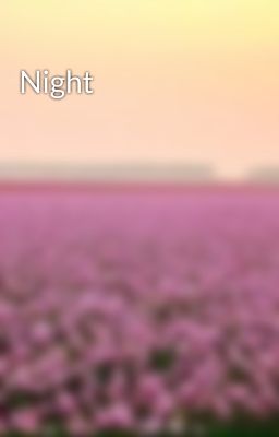 Night
